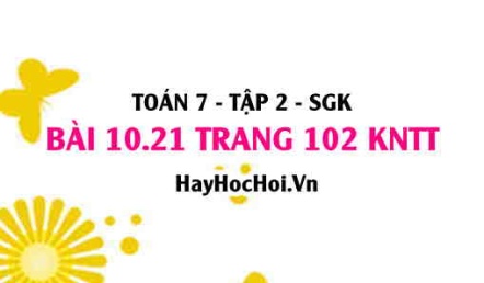 Bài 10.21 trang 102 Toán 7 Tập 2 Kết nối tri thức